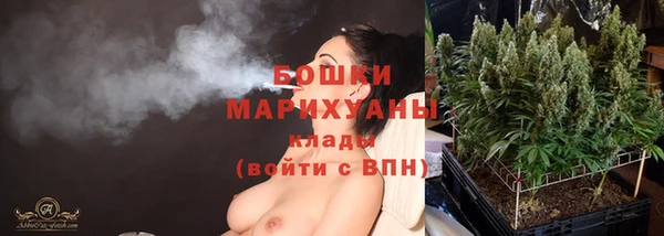 ГАЛЛЮЦИНОГЕННЫЕ ГРИБЫ Арсеньев