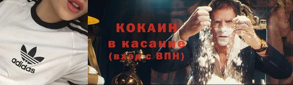 ГАЛЛЮЦИНОГЕННЫЕ ГРИБЫ Арсеньев