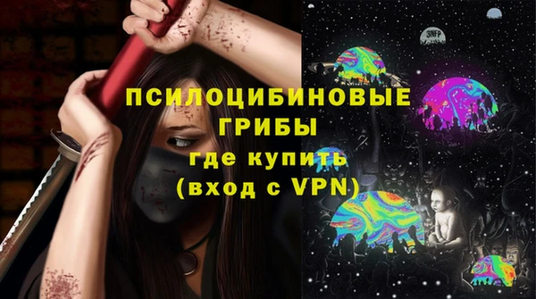ГАЛЛЮЦИНОГЕННЫЕ ГРИБЫ Арсеньев