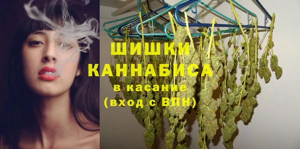 ГАЛЛЮЦИНОГЕННЫЕ ГРИБЫ Арсеньев