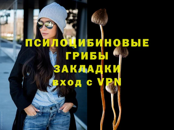 ГАЛЛЮЦИНОГЕННЫЕ ГРИБЫ Арсеньев